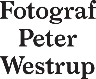 Peter Westrup